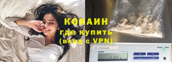 индика Верхний Тагил