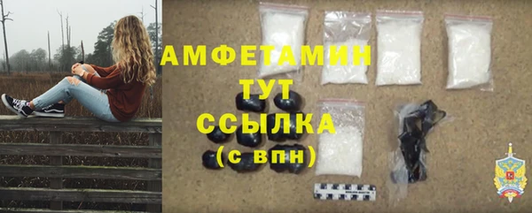 индика Верхний Тагил