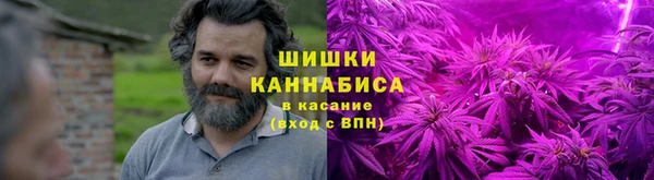 индика Верхний Тагил