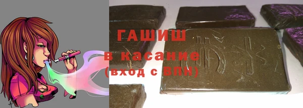 индика Верхний Тагил