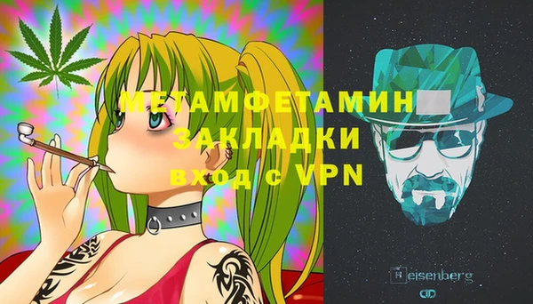 индика Верхний Тагил