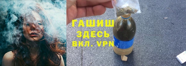индика Верхний Тагил