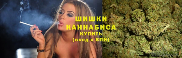 индика Верхний Тагил